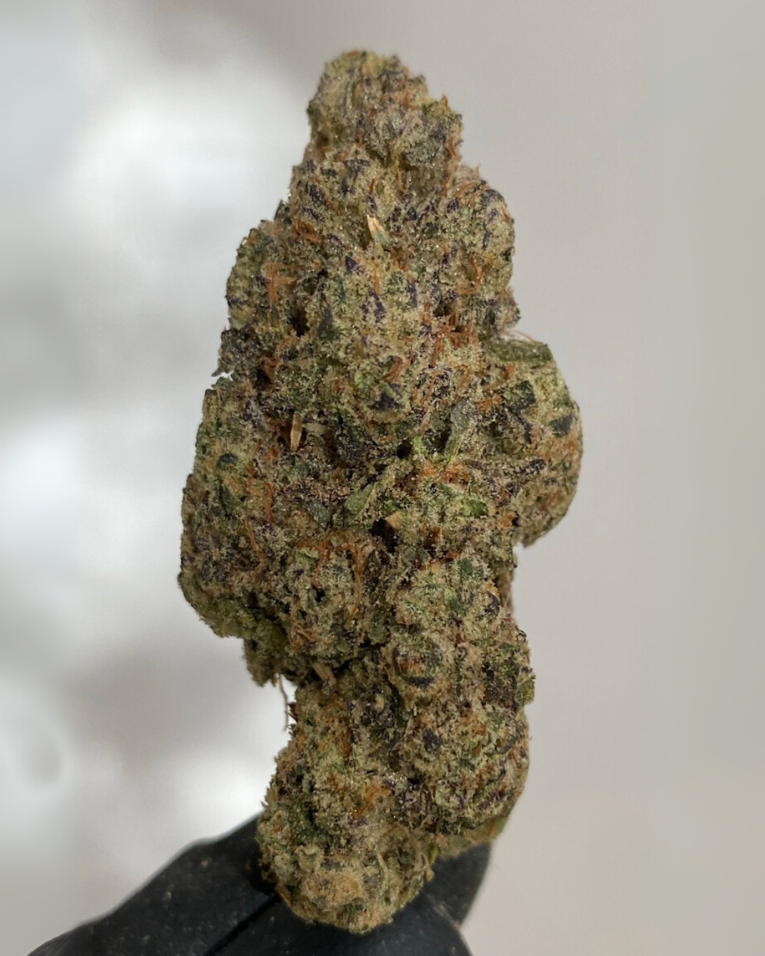 Top Shelf Flower in Mesa