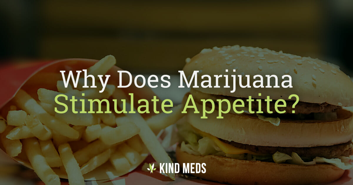 Why Does Medical Marijuana Stimulate Appetite Eating Disorders