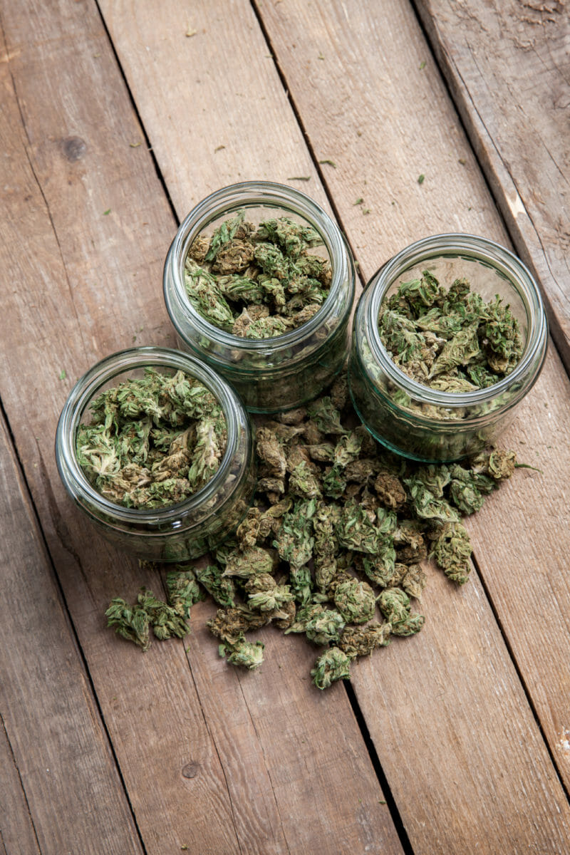 Marijuana buds in glass jars