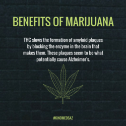 Benefits of Marijuana - Kind Meds