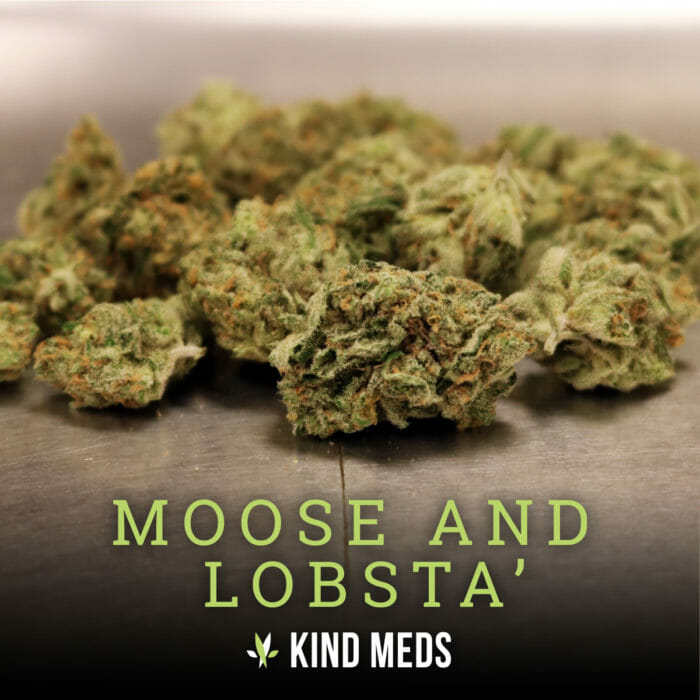 Sativa: Moose and Lobsta