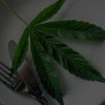 The Beginner’s Guide to Easy Cannabutter Recipes for Every Occasion