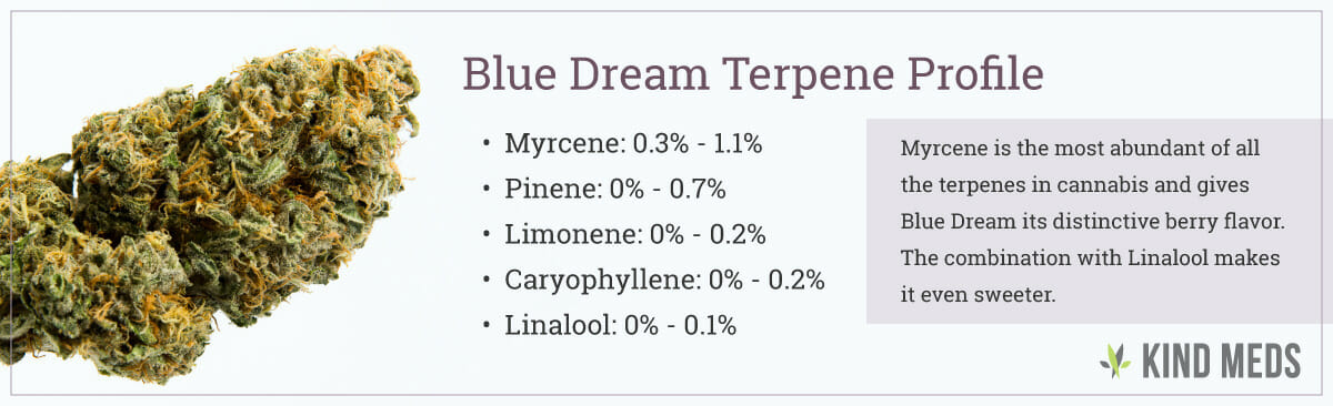 Blue Dream Terpene Profile