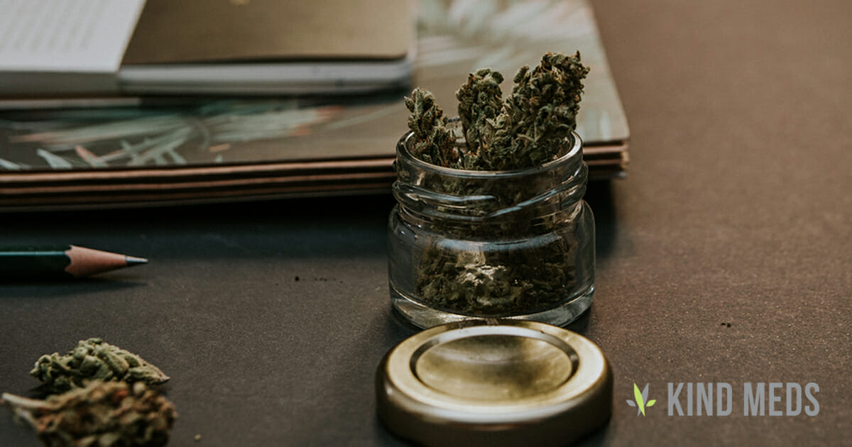 Marijuana Education – A Beginner’s Guide To Cannabis