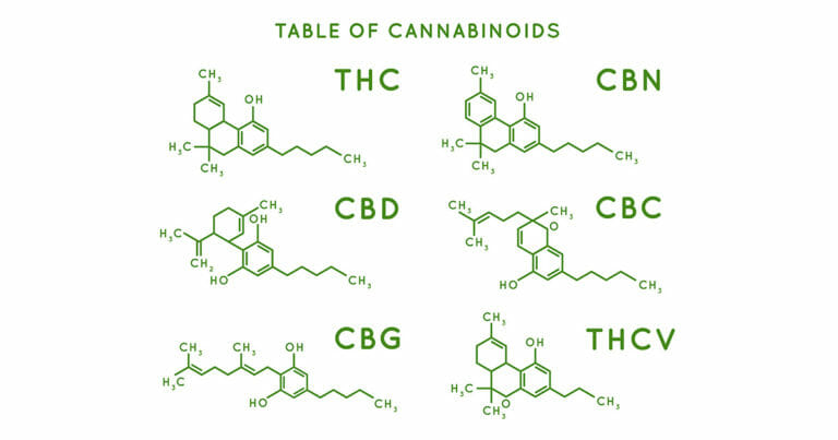 What Exactly Are Cannabis Terpenes? | FAQs About Terpenes