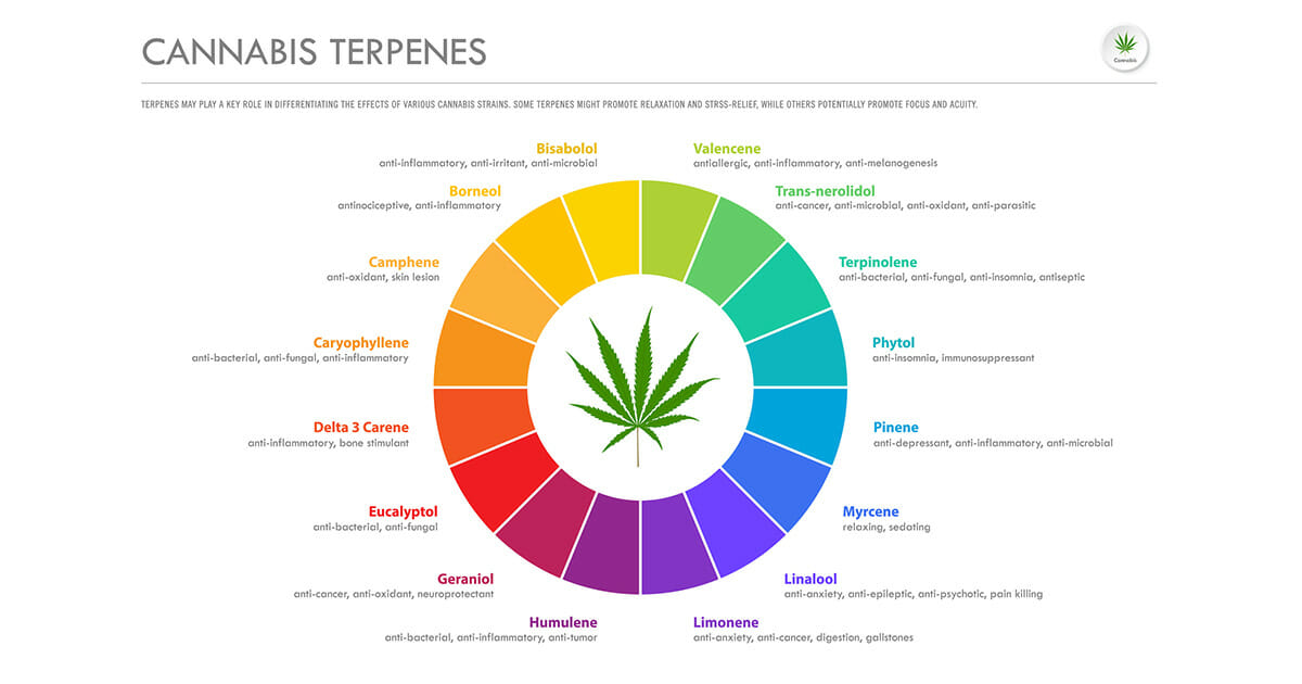 What Are Terpenes and How Do They Work?