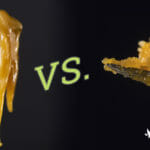 Live Rosin vs. Live Resin: What’s the Difference?