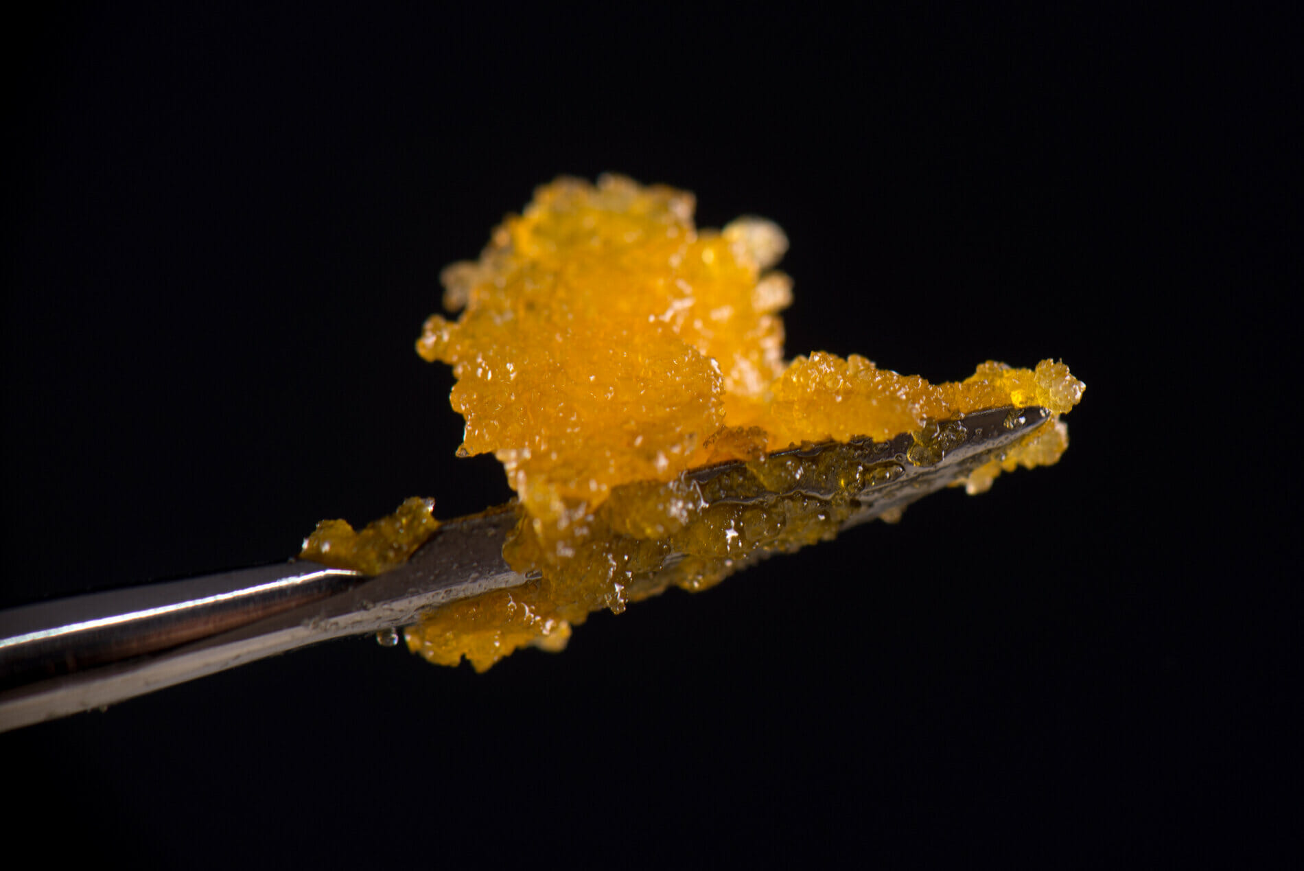 What are Live Resin Cannabis Concentrates?