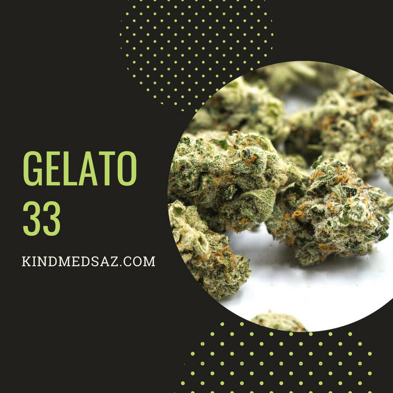 Gelato 33 Cannabis Strain