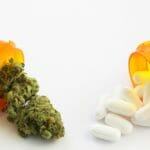 The Pharmaceutical Industry's Relationship With Cannabis