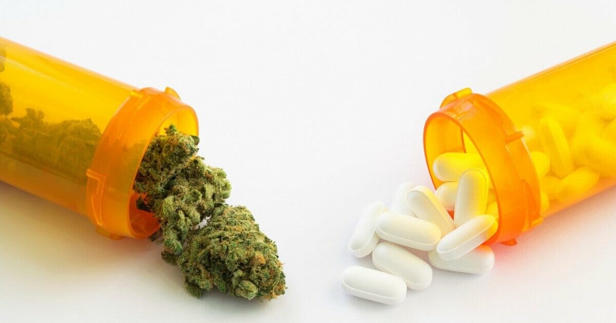 The Pharmaceutical Industry's Relationship With Cannabis