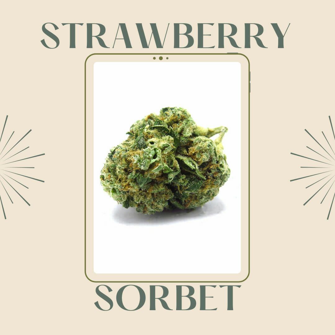 Strawberry Sorbet