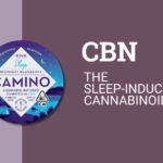 CBN: The Sleep-Inducing Cannabinoid