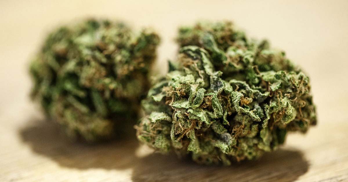 Quality Cannabis in Mesa Arizona 