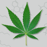 Guide to the Top Cannabinoids from Kind Meds