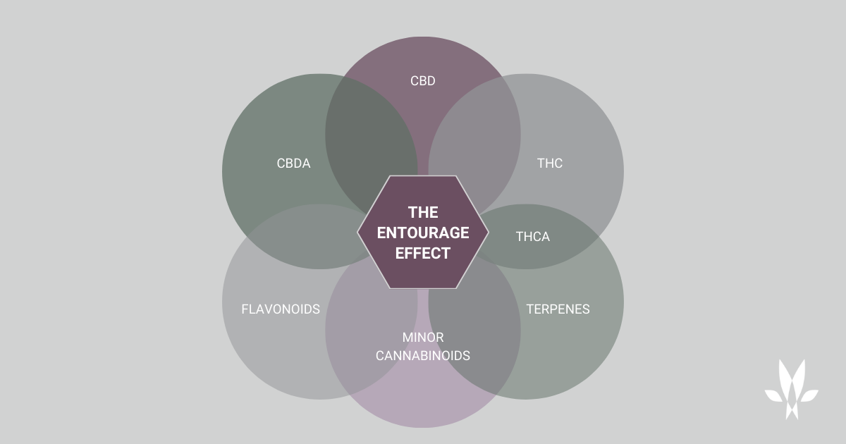 The Entourage Effect Graphic