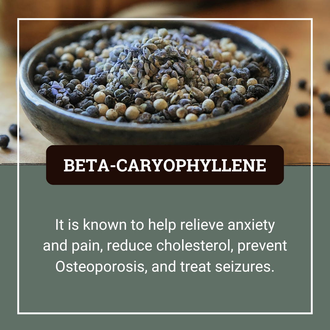 Beta-Caryophyllene Terpene