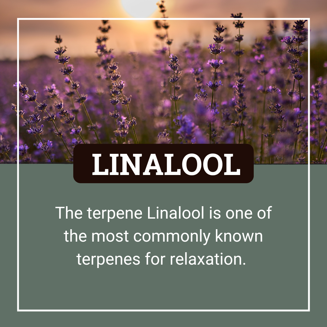 Linalool Terpene