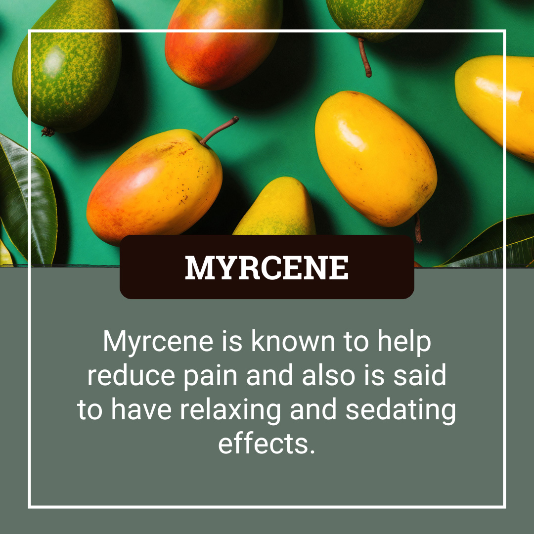 Myrcene Terpene