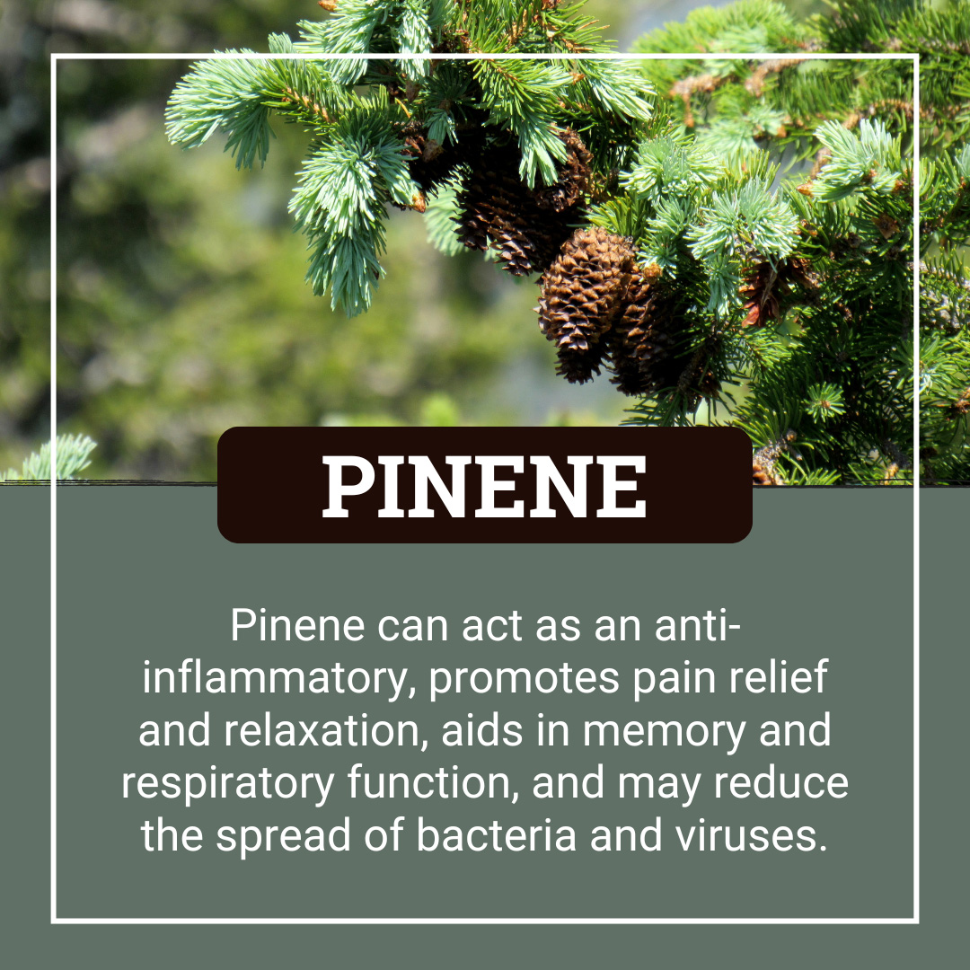 Pinene Terpene