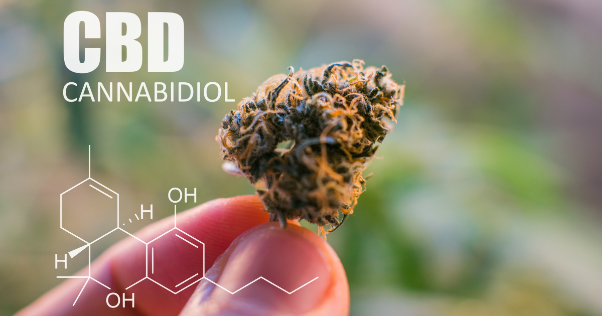 CBD - A Well-Known Cannabinoid