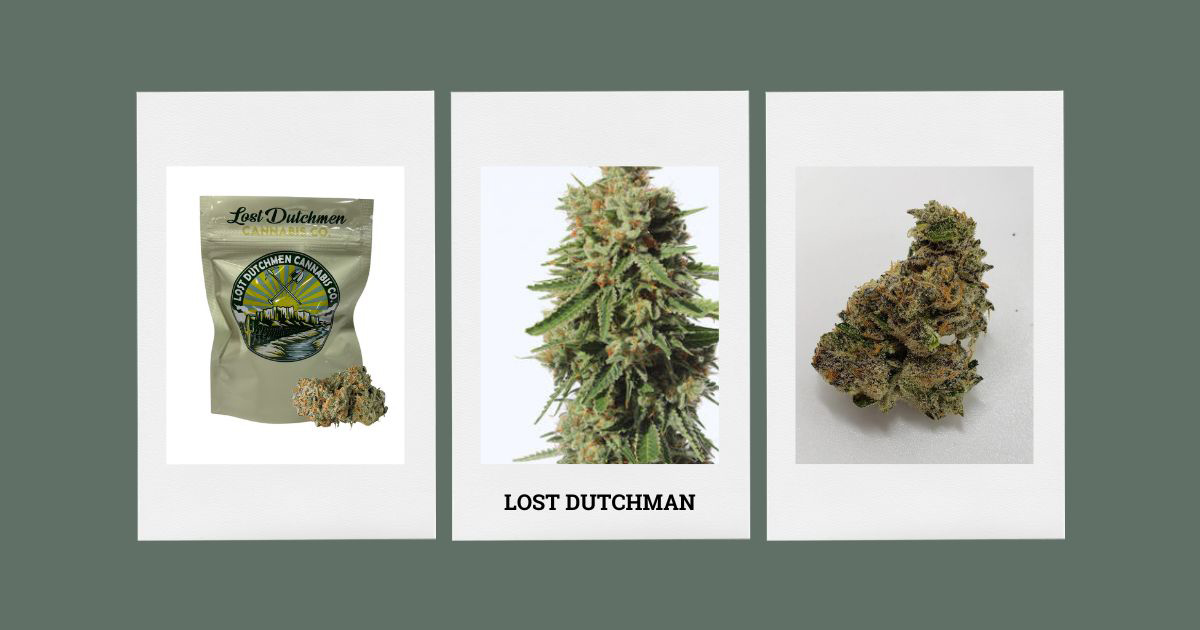 Lost Dutchman Quality Cannabis at Kind Meds