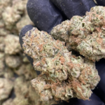 Kind Meds - 420 BOGOs