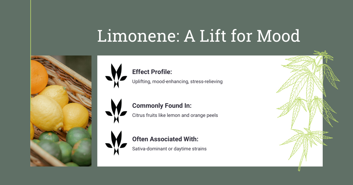 Limonene Cannabis Terpene Profile