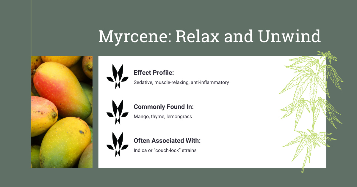 Myrcene Cannabis Terpene Profile