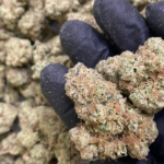 High Grade AZ Bulk Flower at Kind Meds