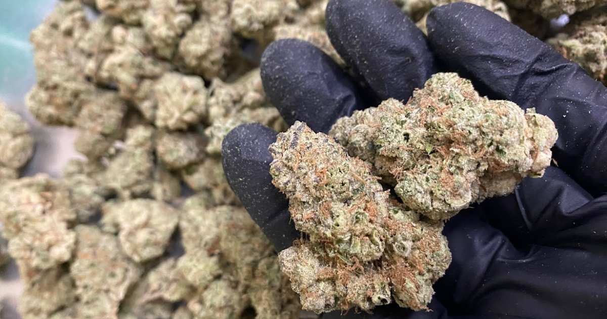 High Grade AZ Bulk Flower at Kind Meds