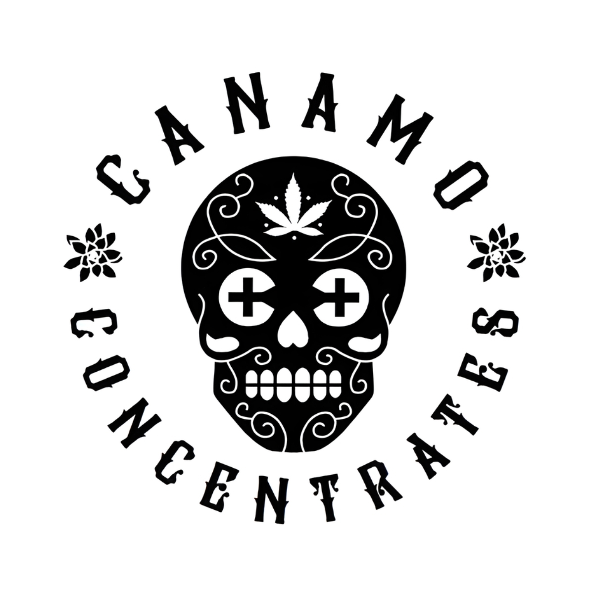 Canamo