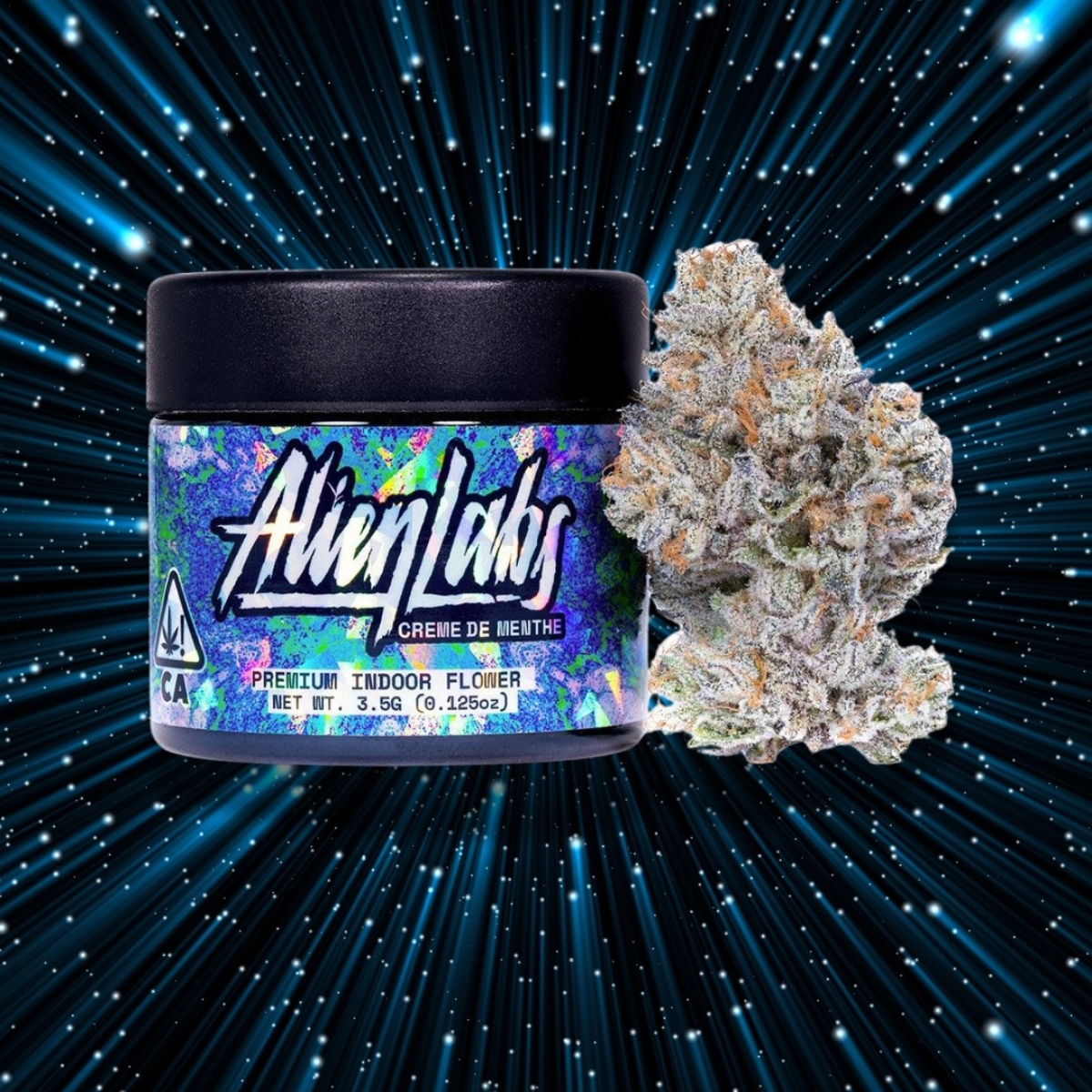 Alien Labs / Connected Flower