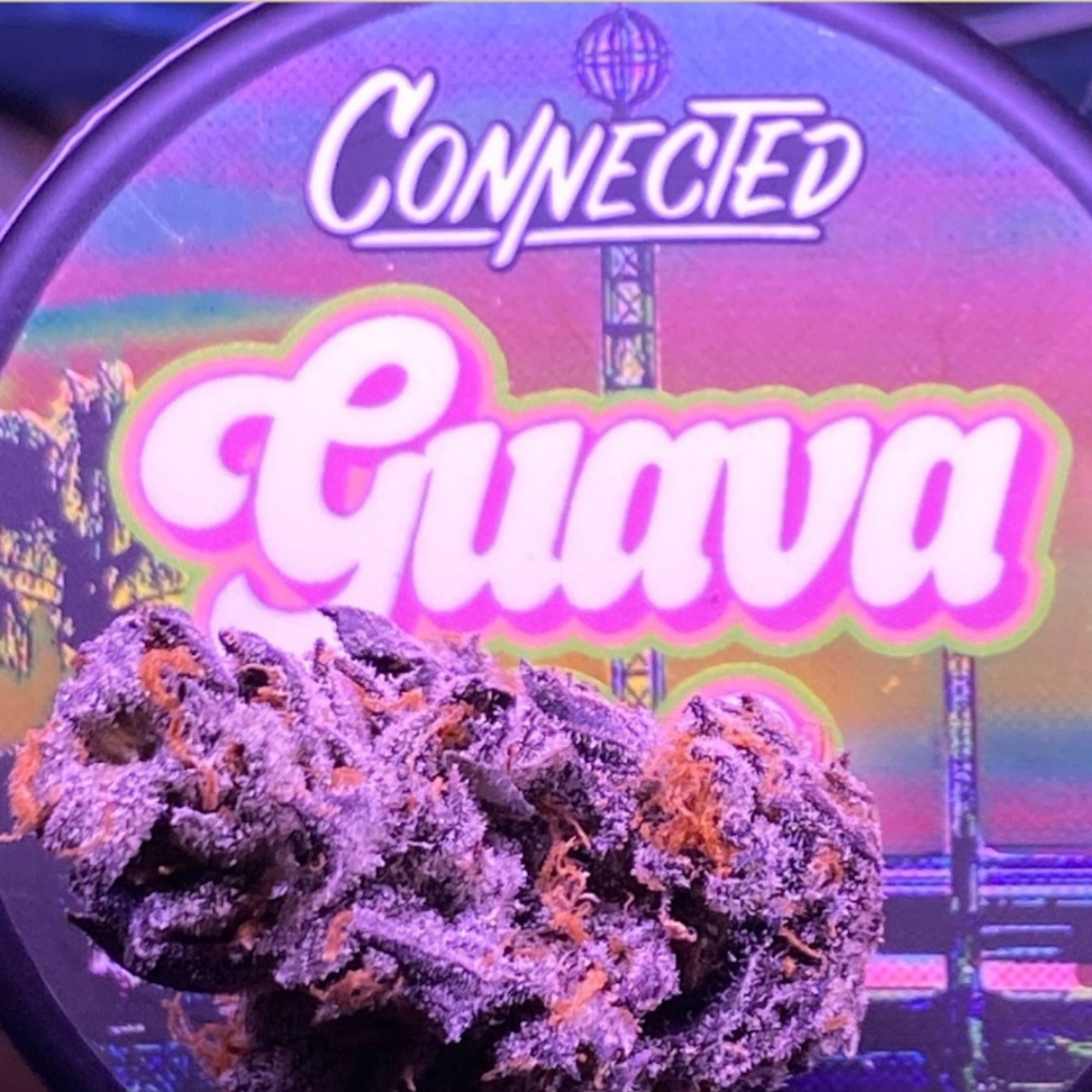 Alien Labs / Connected Flower