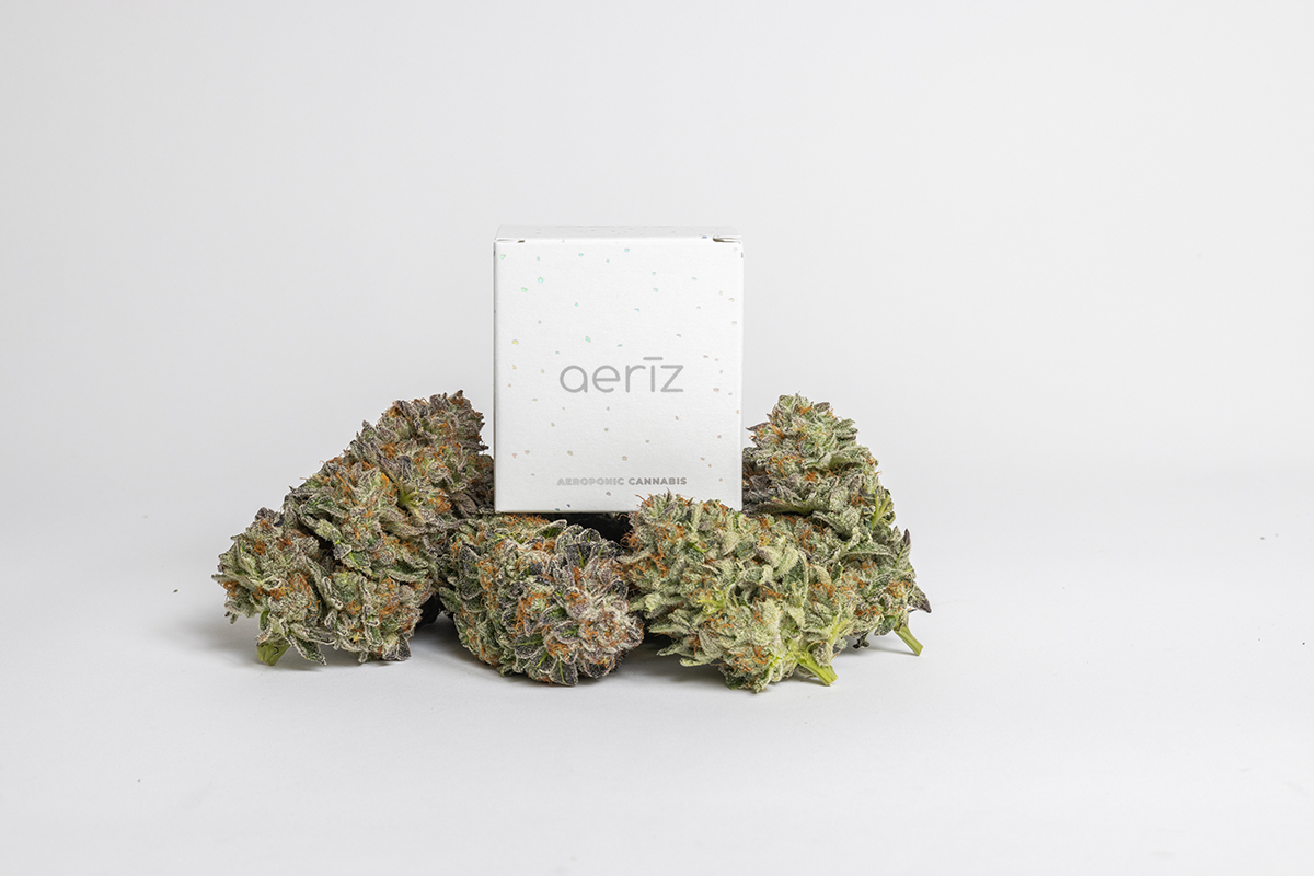 Aeriz flower