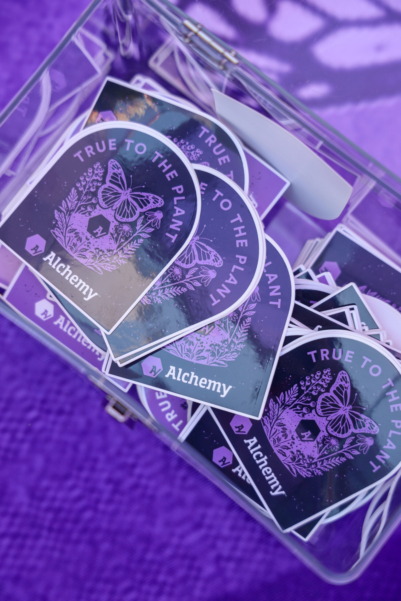 Alchemy at Kind Meds