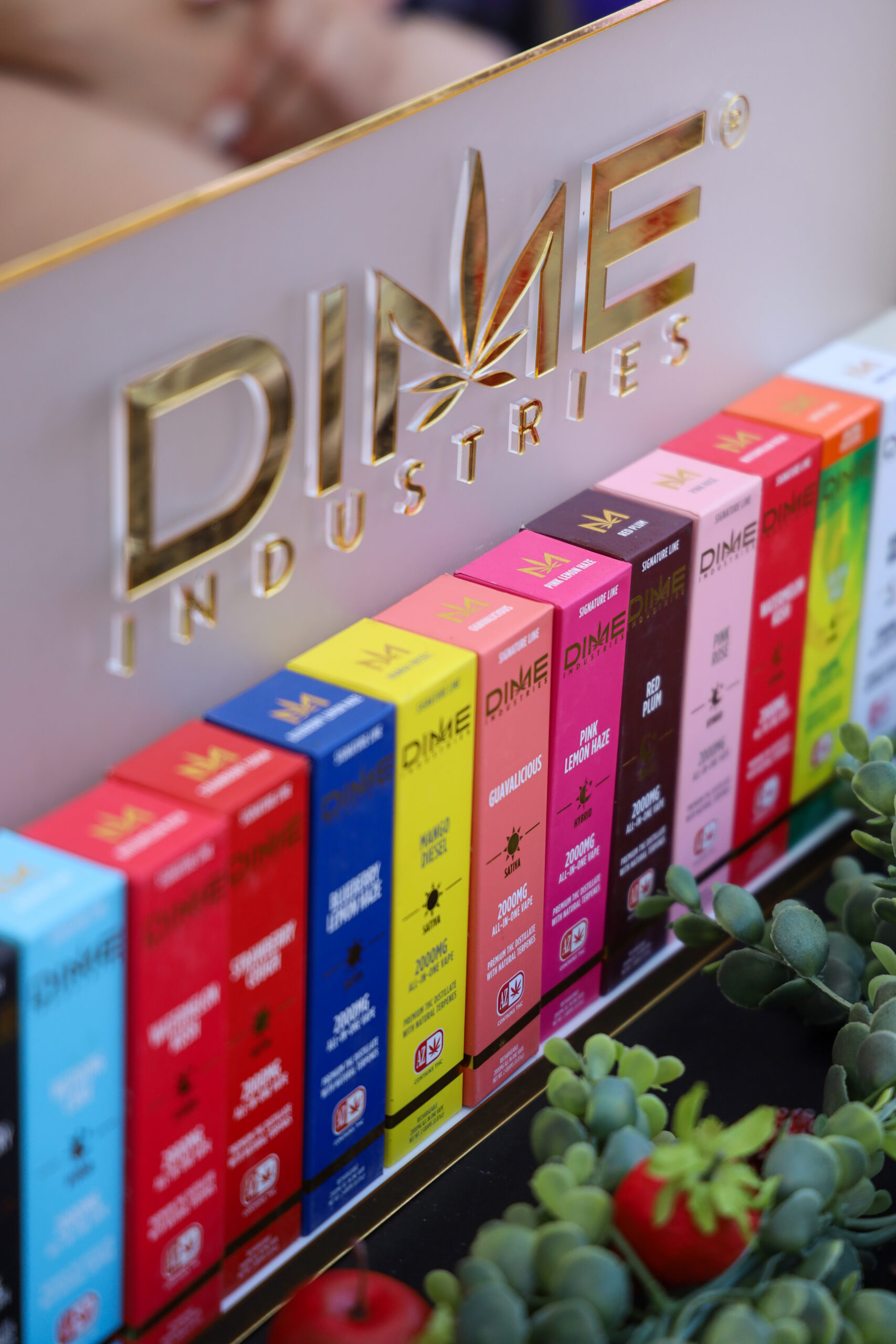 Dime Industries