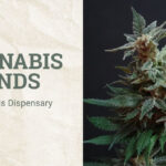 Top Cannabis Brands at Kind Meds